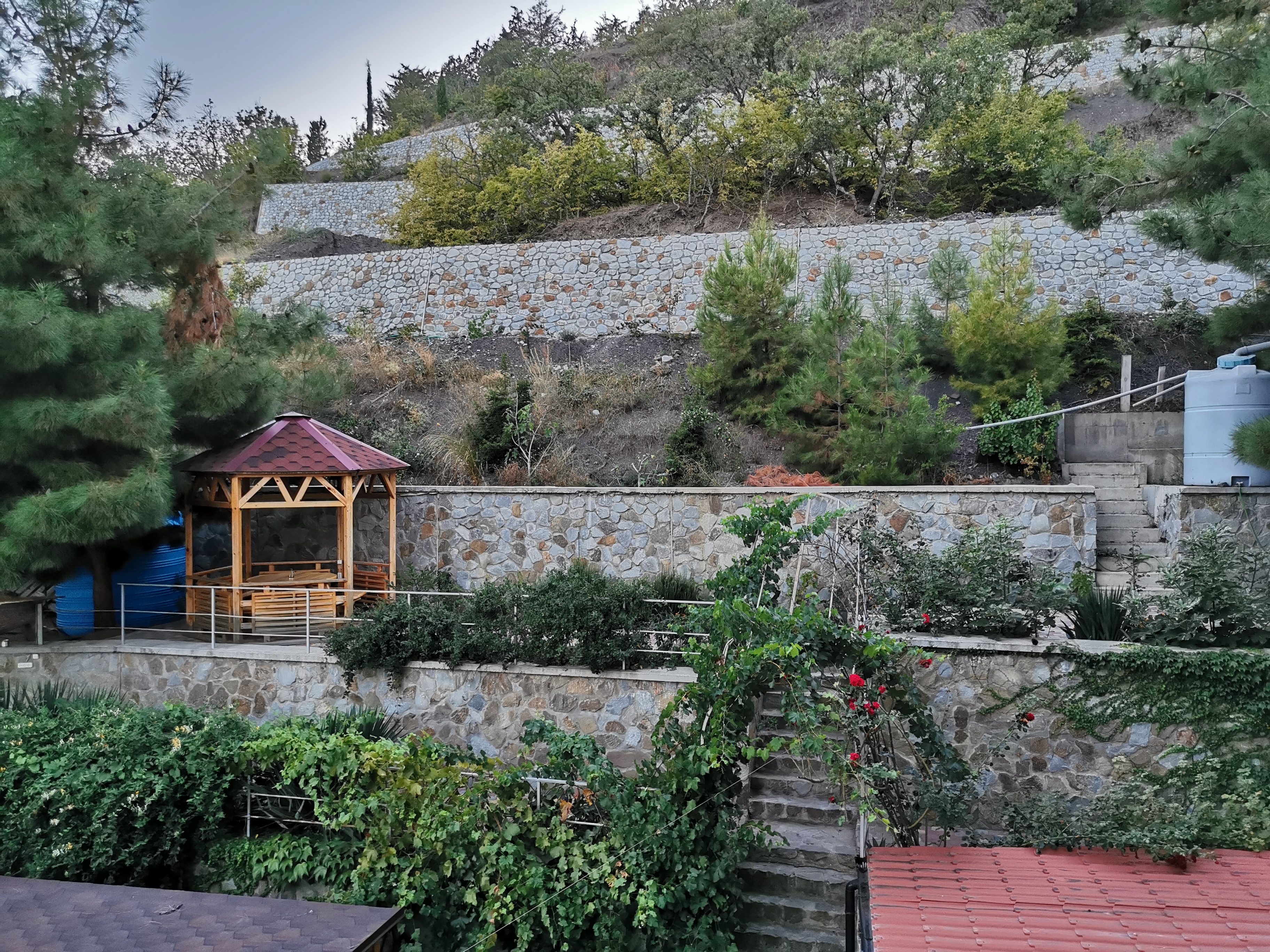 Фото Лукоморье