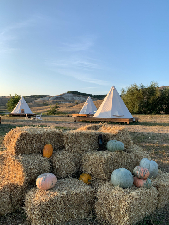 Фото Альфа Глэмпинг