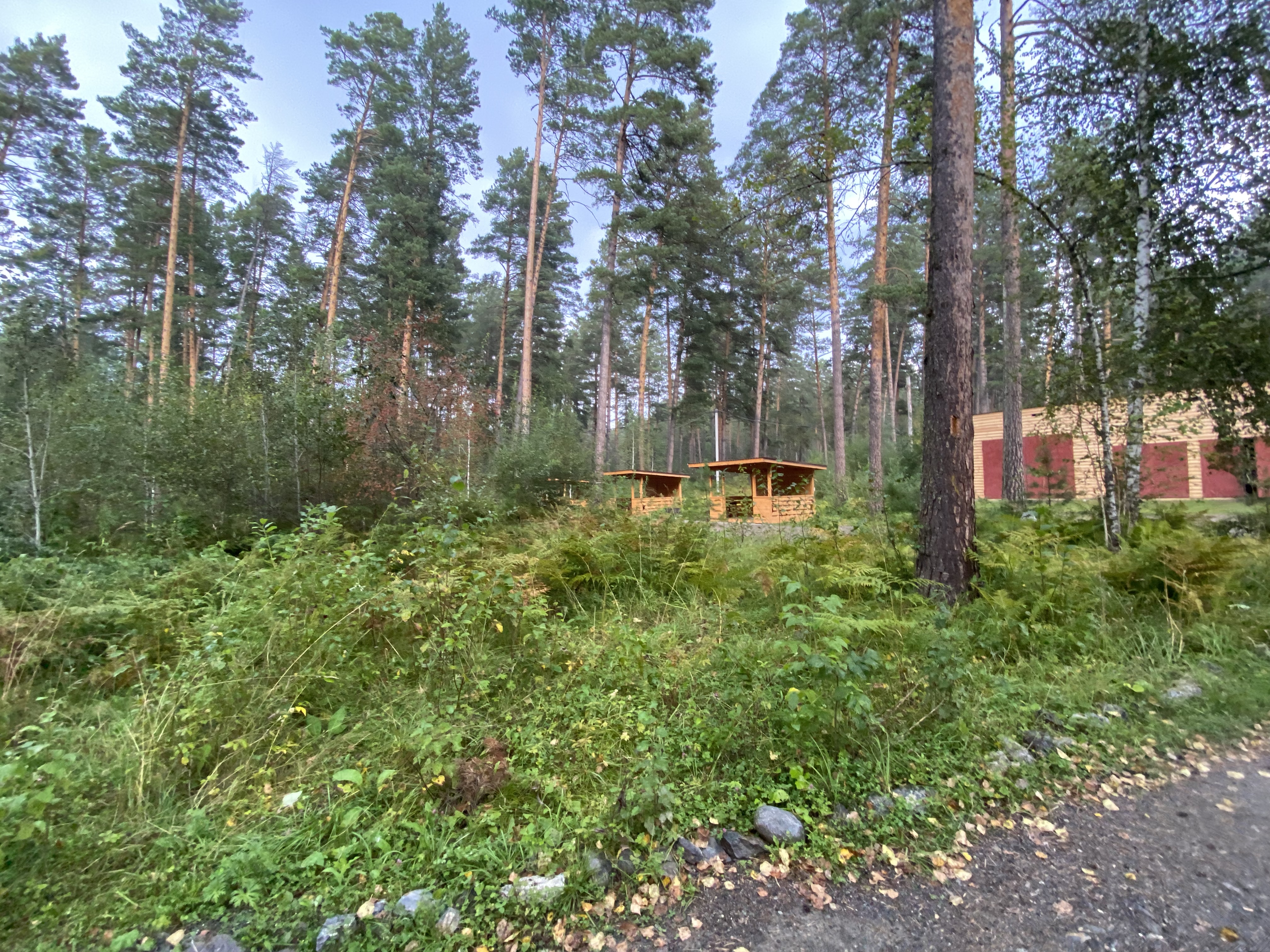 Фото Таналтай