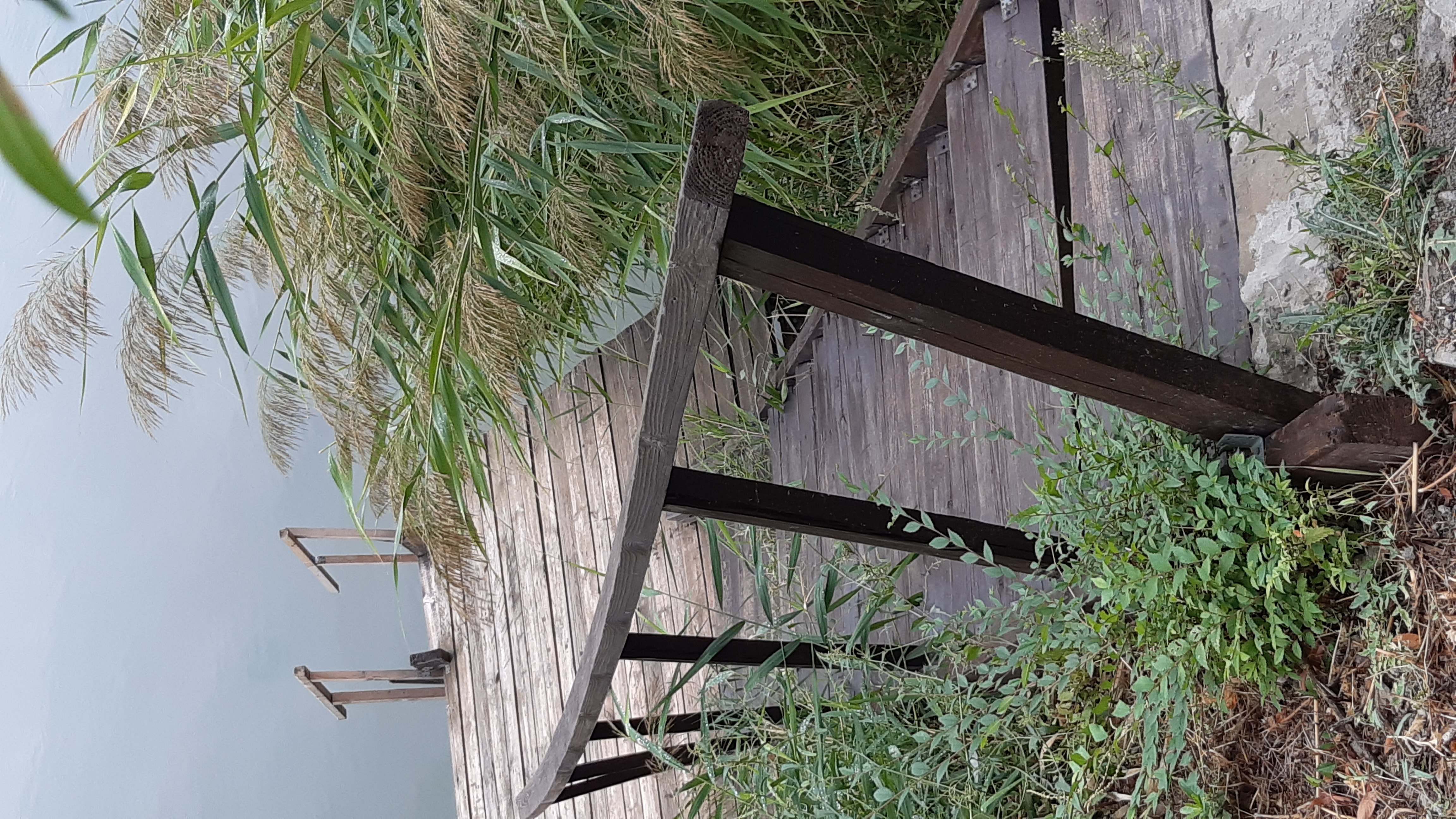 Фото Орловский пруд