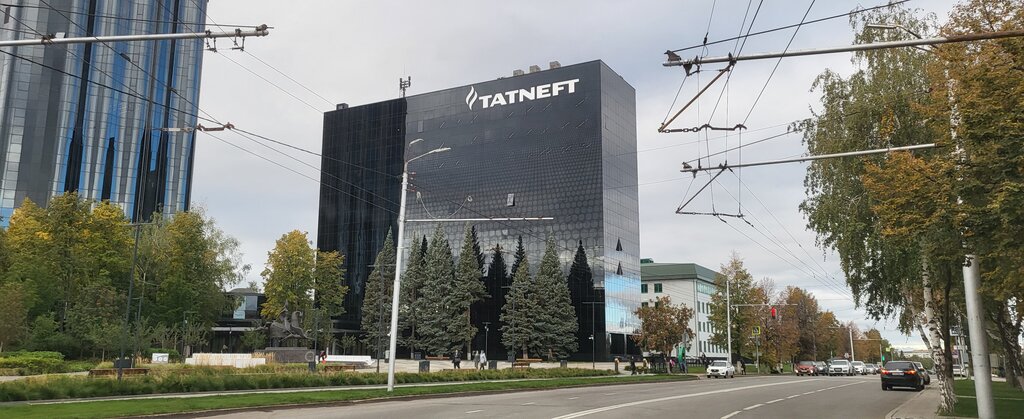 Пао татнефть гранты