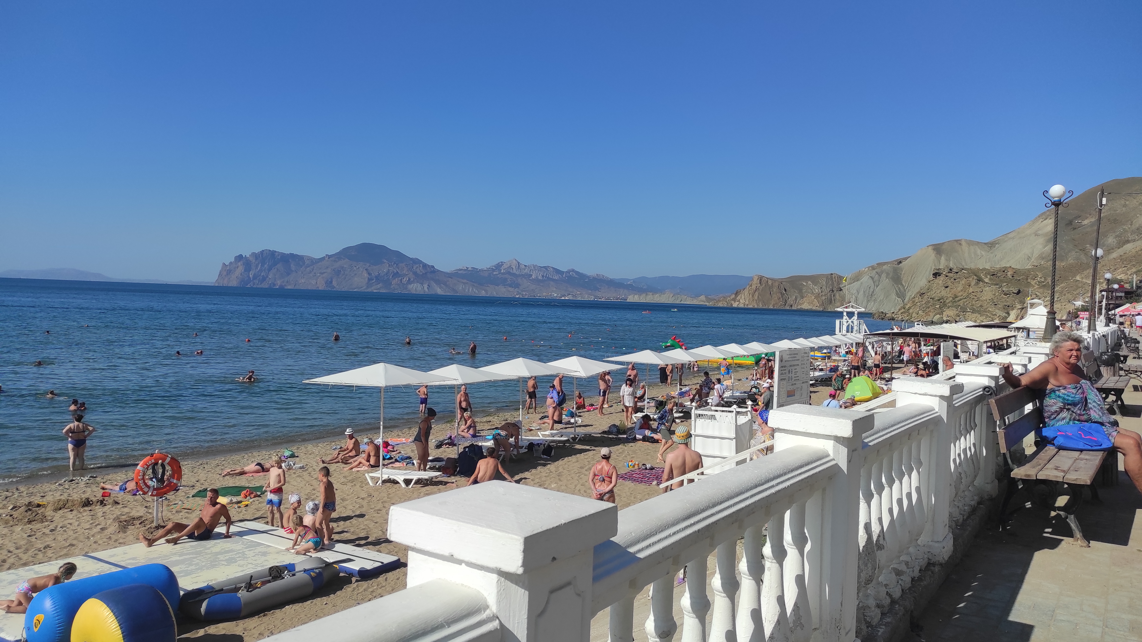 Фото Магнолия