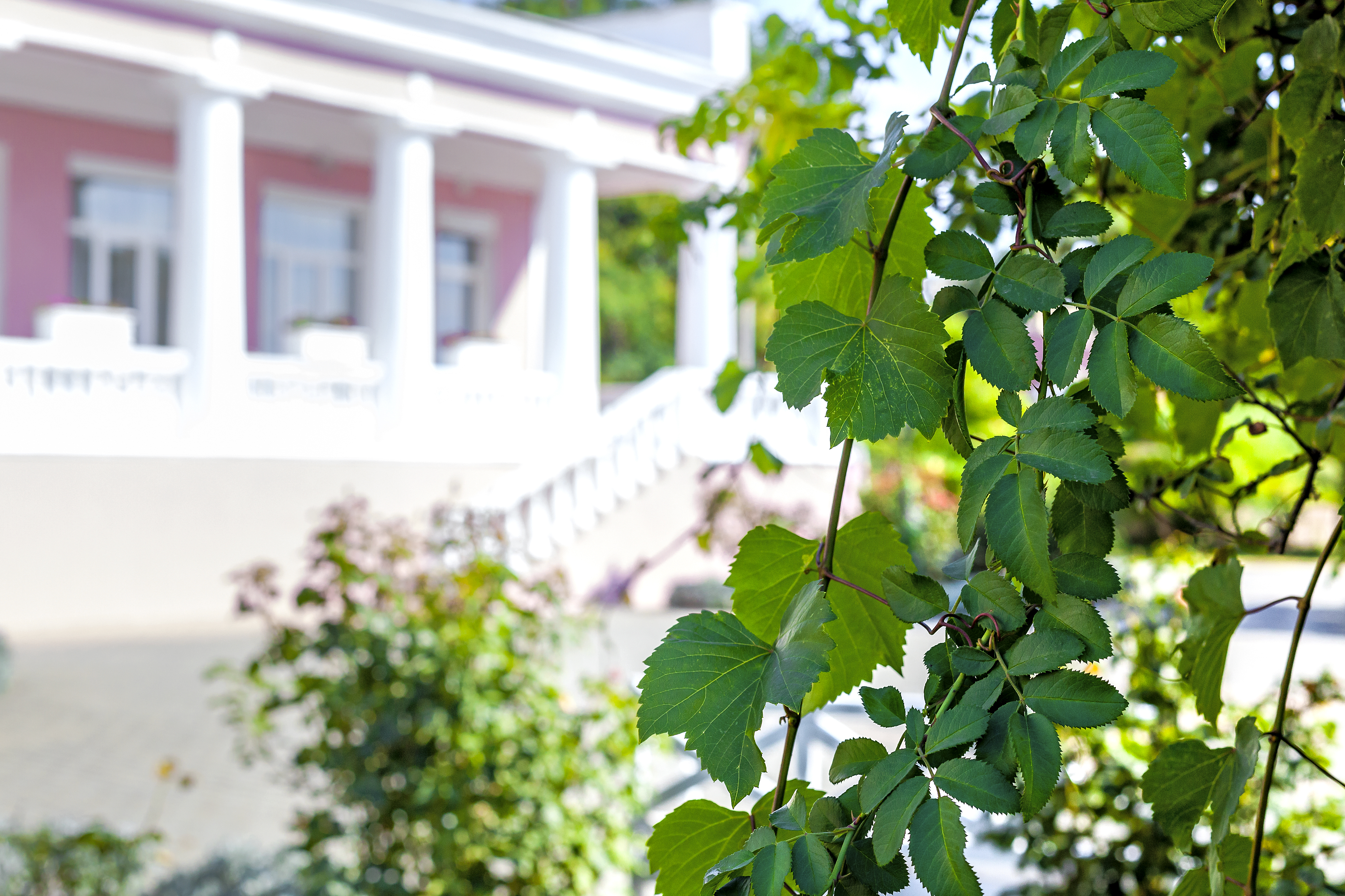 Фото Трехгорка