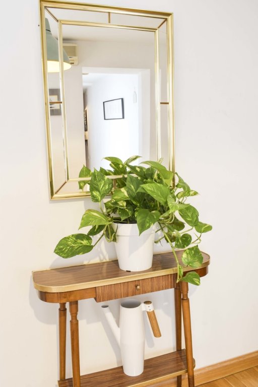 Фото Letmalaga Carreteria