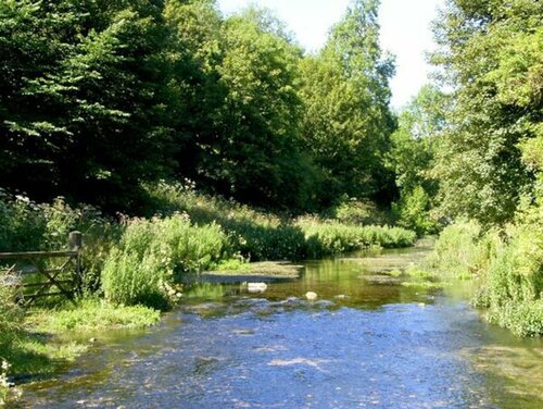 Гостиница River Cottage
