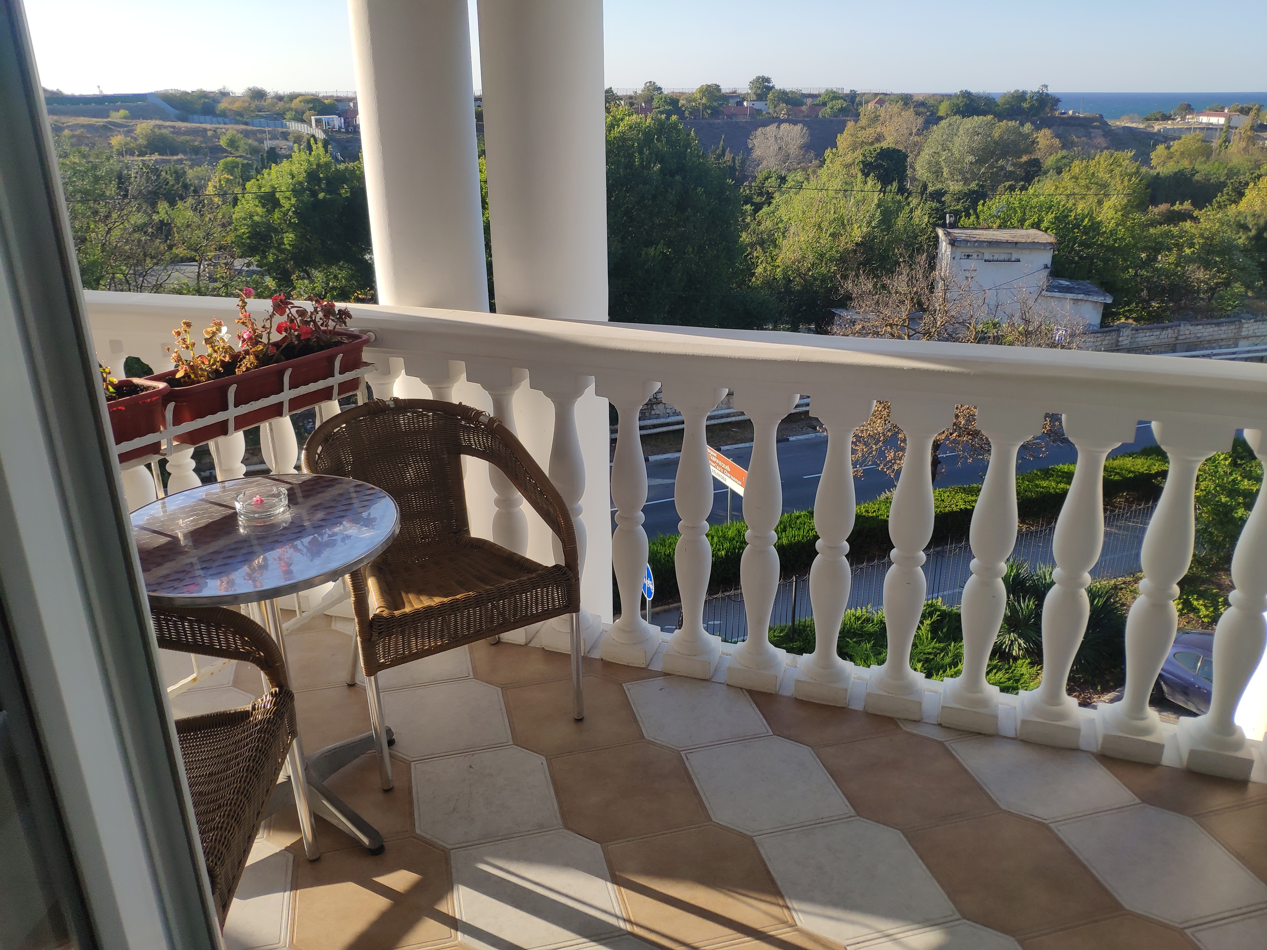 Фото Дельфин