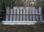 Мемориал Великой Отечественной войны 1941-1945 гг. (selo Zmeyevka, Molodyozhnaya ulitsa, 12) ، نصب تذكاري للحرب، مقبرة جماعية