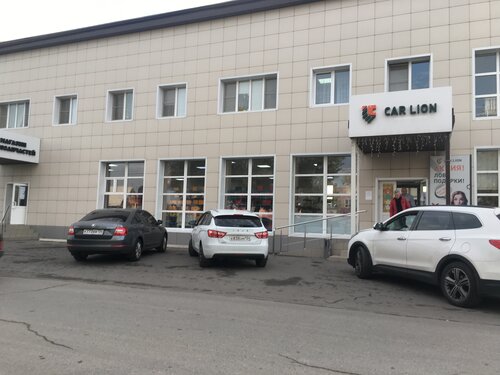 Car lion, auto parts and auto goods store, Volzhsky, 2-y Industrialny ...
