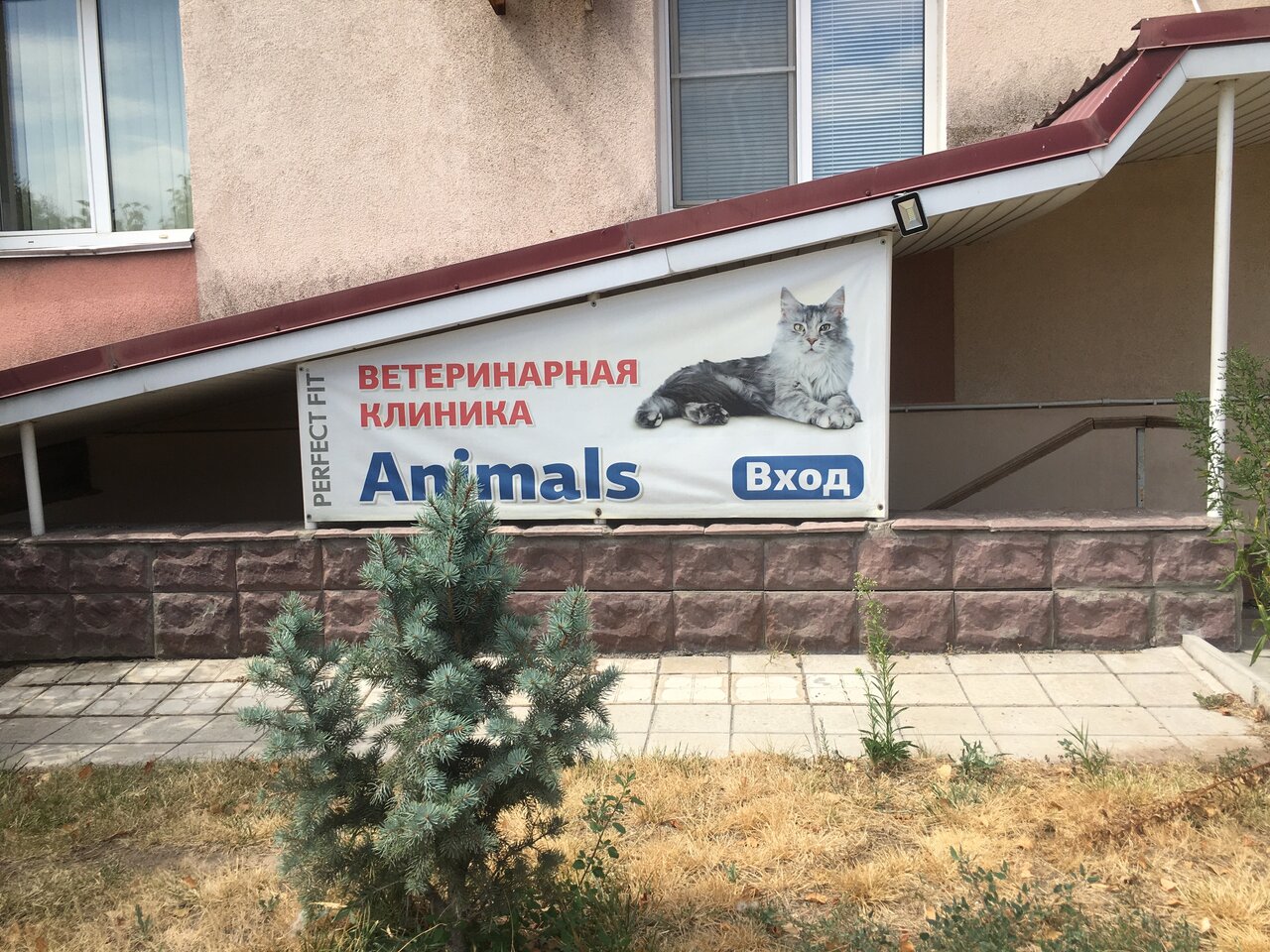 Ветеринарная клиника энимал волгоград