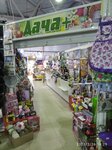 Дача+ (ulitsa Lenina, 2Е) ، متجر البذور