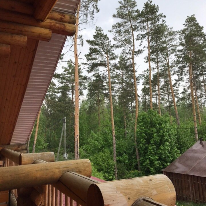 Фото Лесная гавань