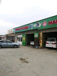 Dish Rental (Abaya Avenue, 568А), tableware shop