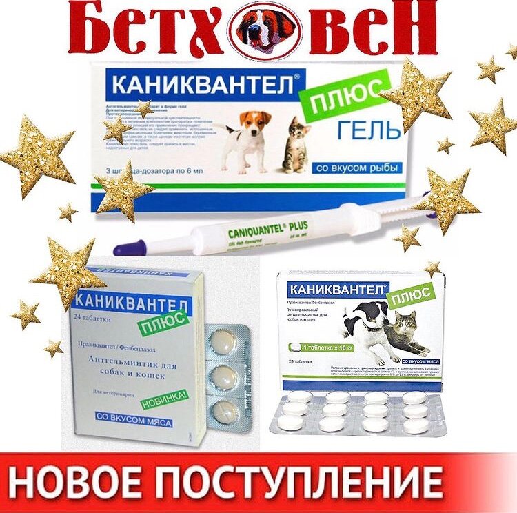 Магазин Бетховен Курск Каталог Товаров