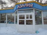 Azalia (Pavlodar, ulitsa Toraygyrova), hardware store