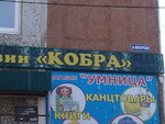 Кобра (Shakhtyorskaya ulitsa, 12), security company