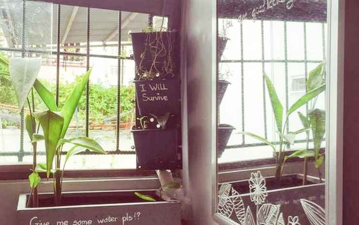 Фото Annie Homestay