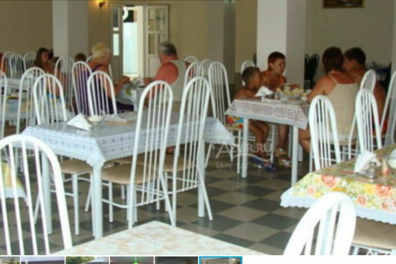 Фото Дельфин