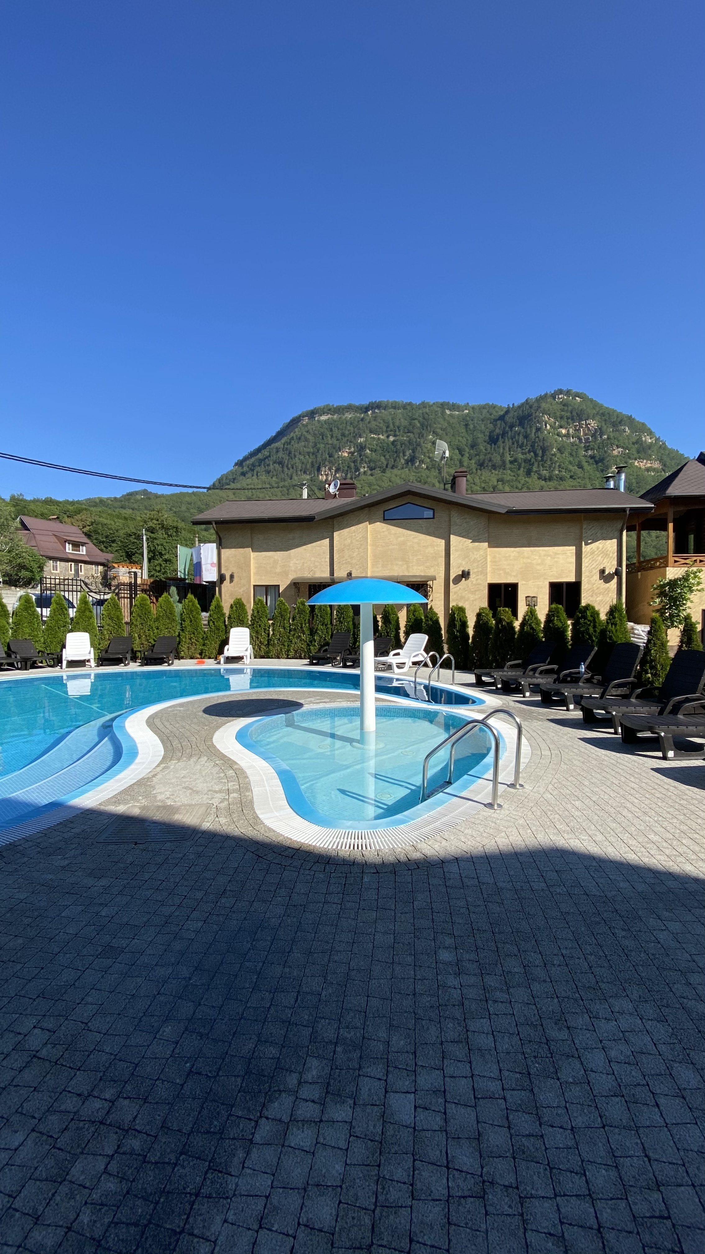 Фото Династия