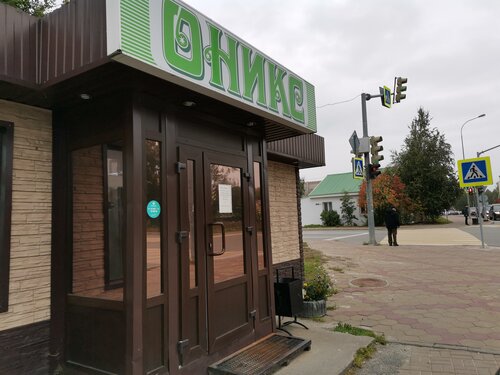 Узбекистанская машина оникс