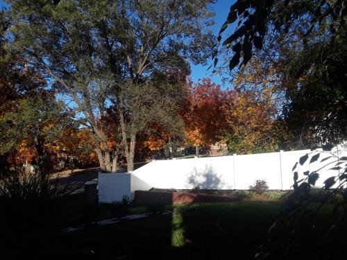 Фото Secret Place