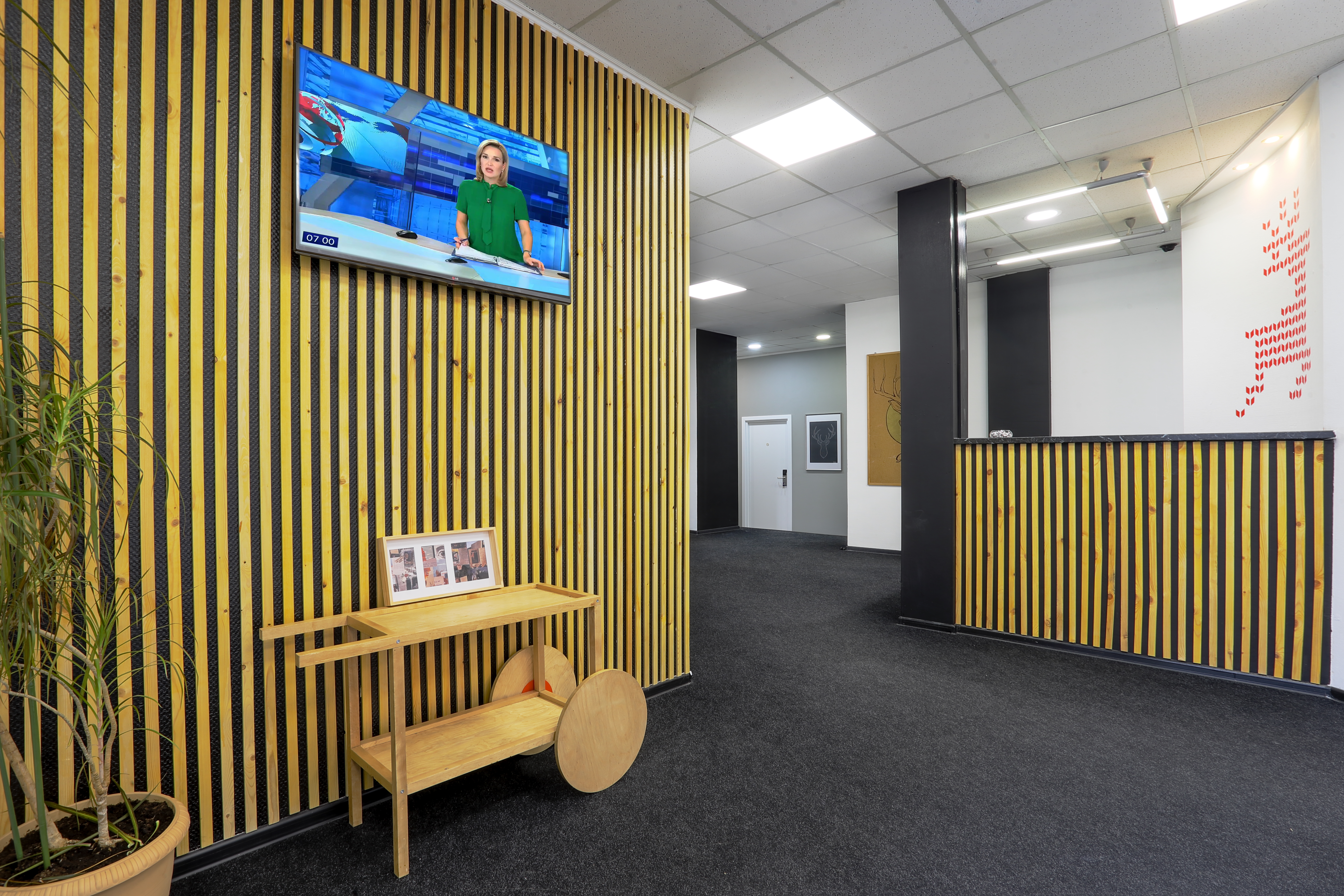 Фото Skandinavia