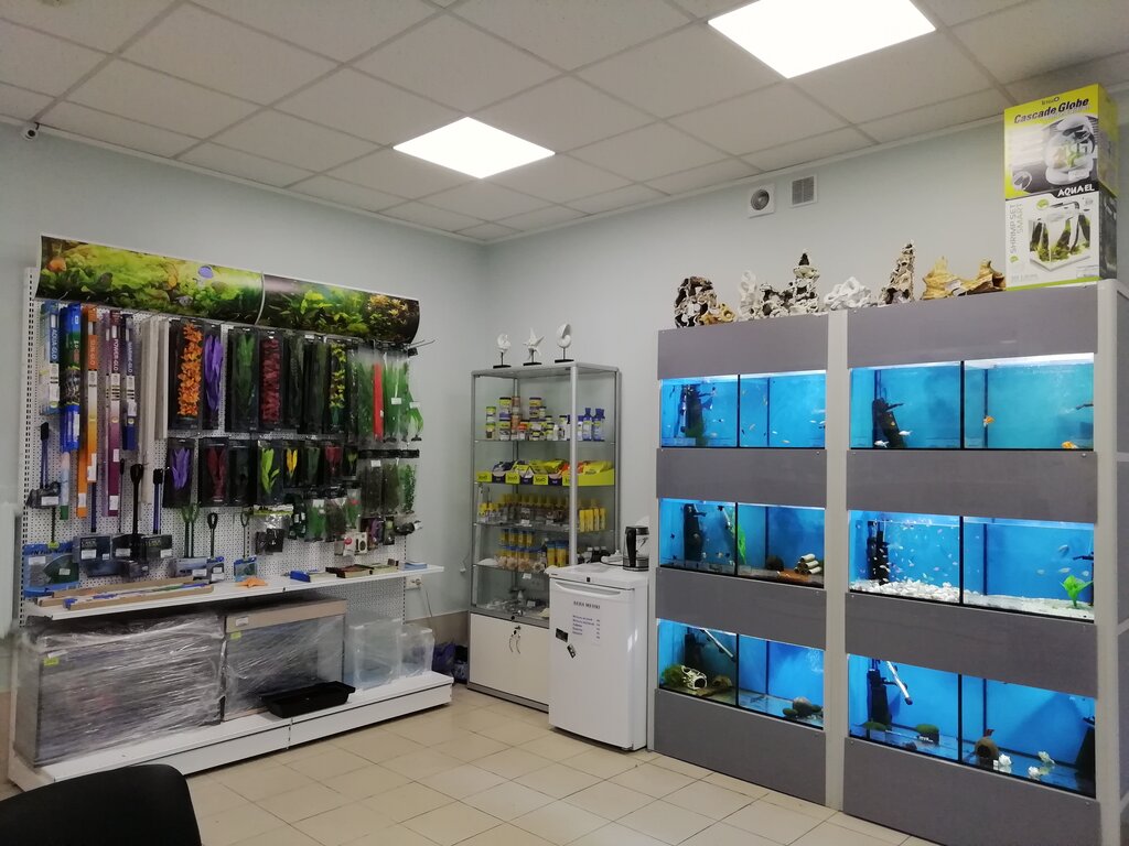 Pet shop Aqua Center, Sergiev Posad, photo