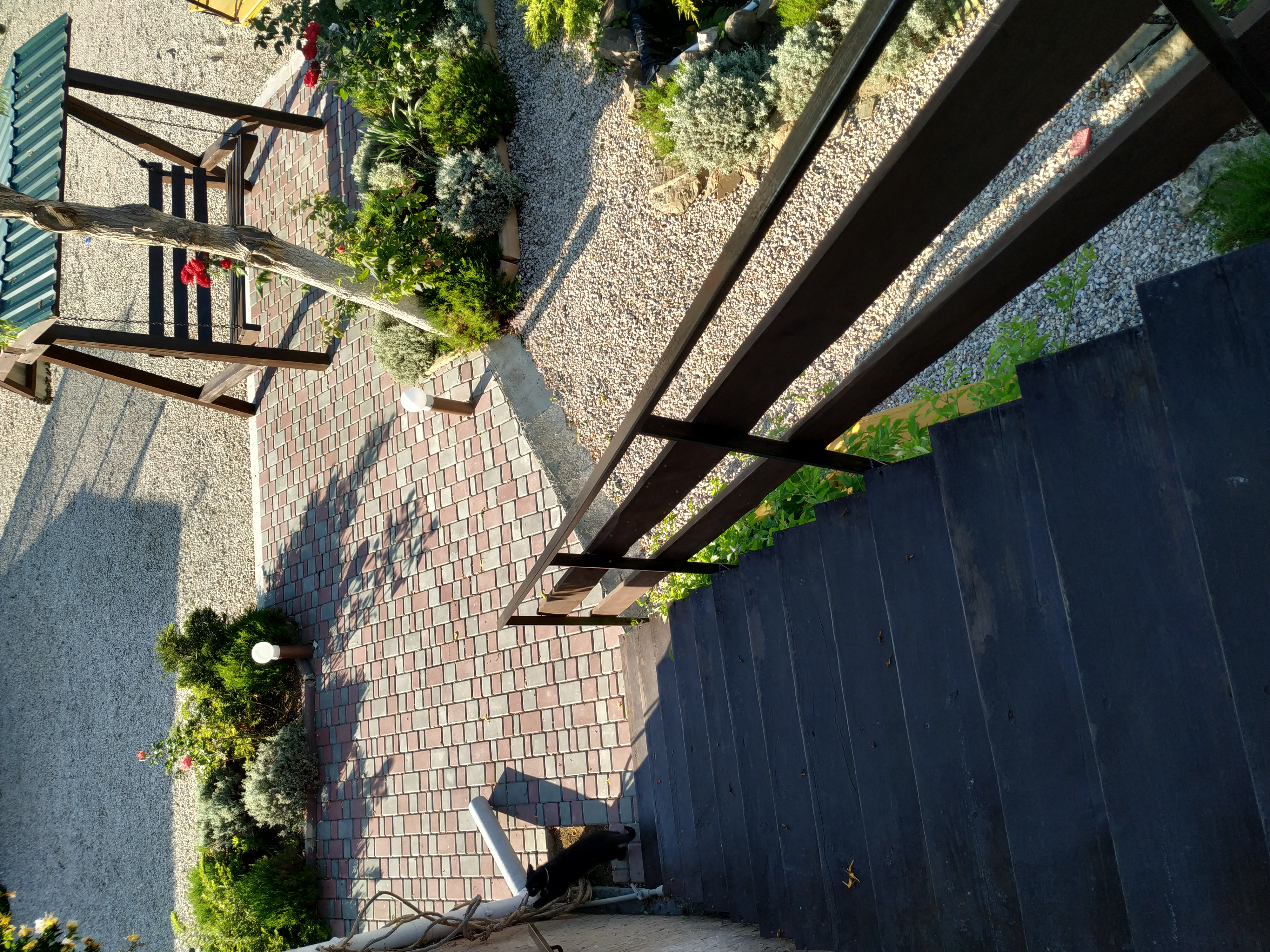 Фото Хороший гость