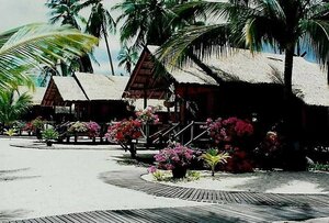 Seafan Beach Resort Koh Samui