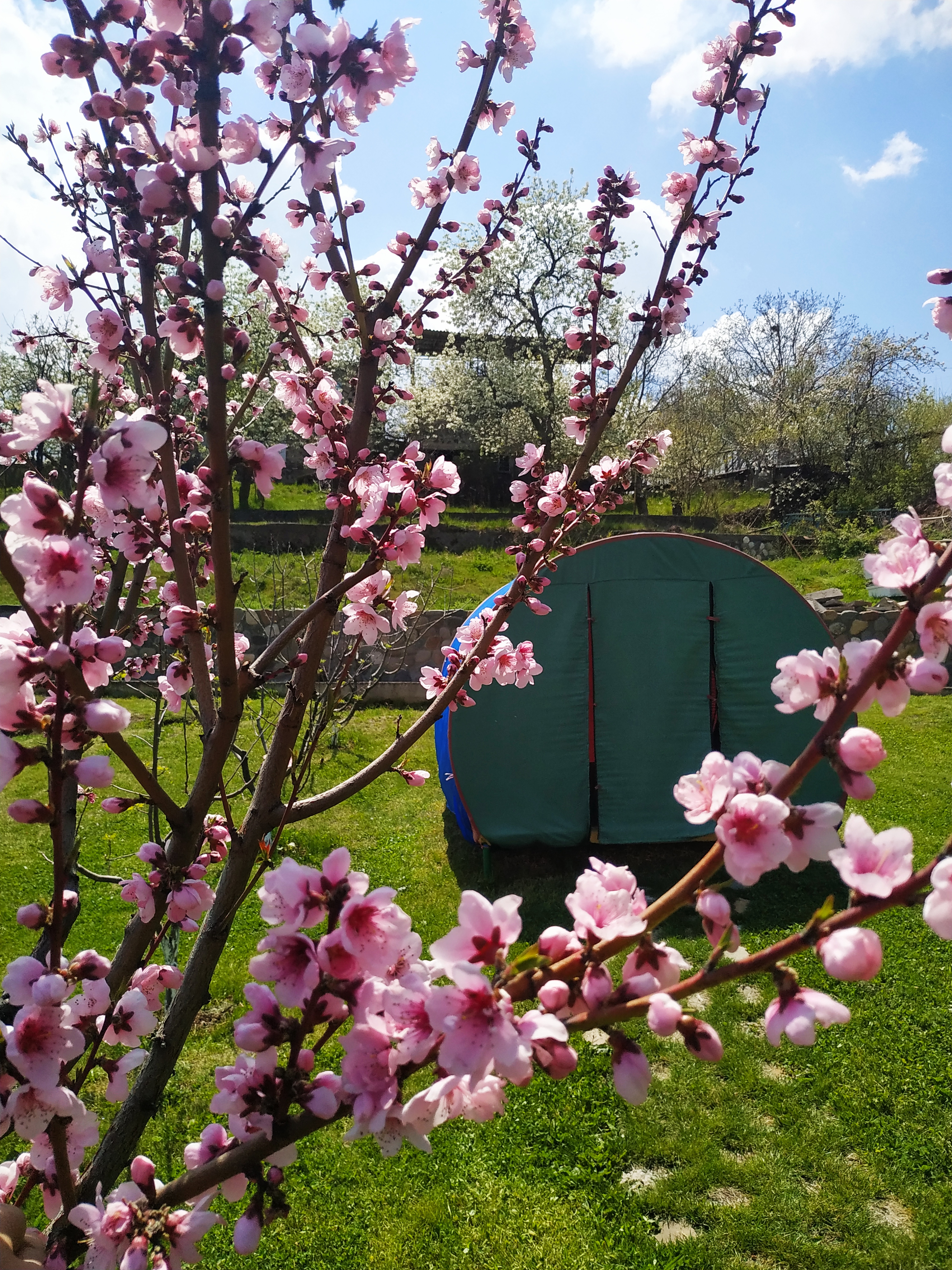 Фото Guest house Nataly