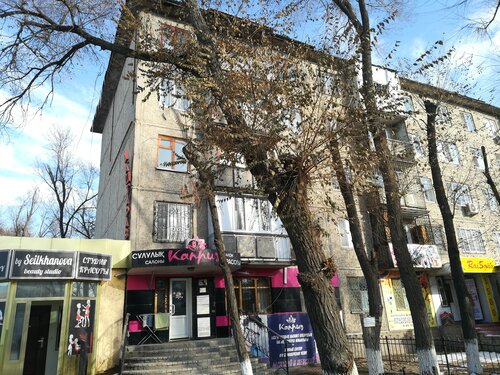 Белдікпен жалап жатқан есек