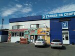 Букмекерская контора Zenit (ул. Гагарина, 98И), букмекерская контора в Абакане