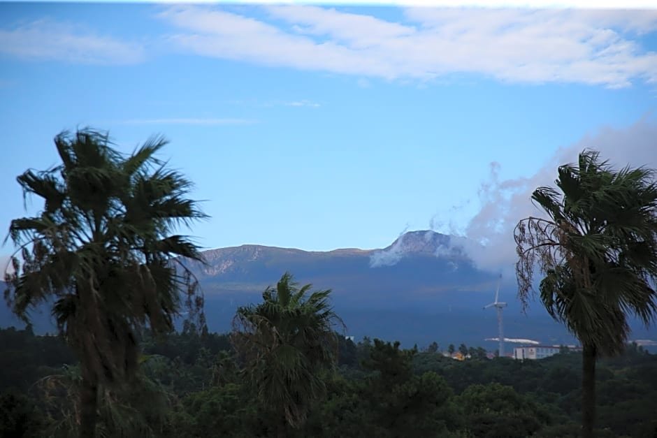 Фото Bloom Hotel