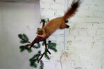 Студия Таксидермия центральной России (ulitsa Gastello, 23), taxidermist
