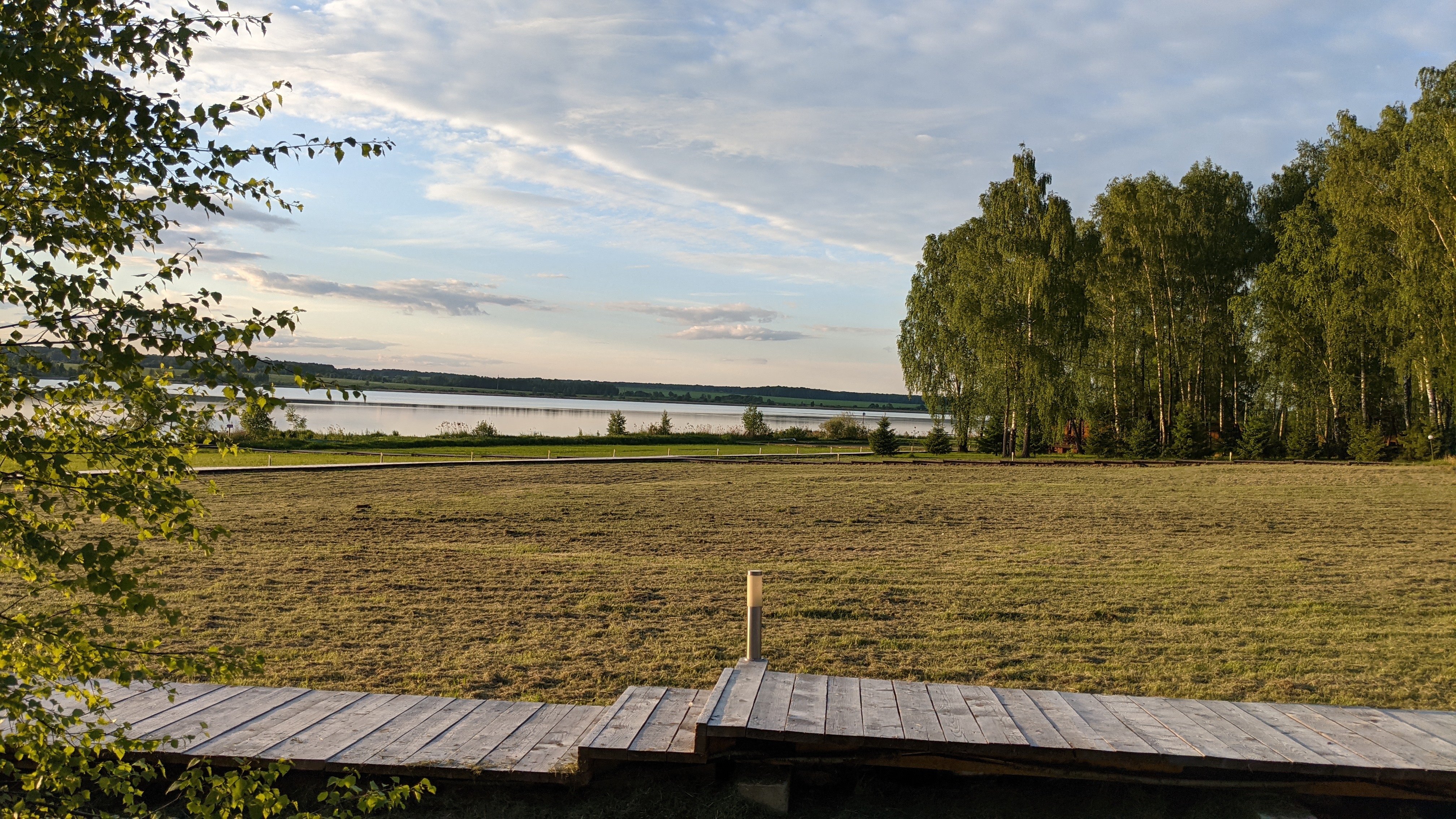 Фото Белая цапля