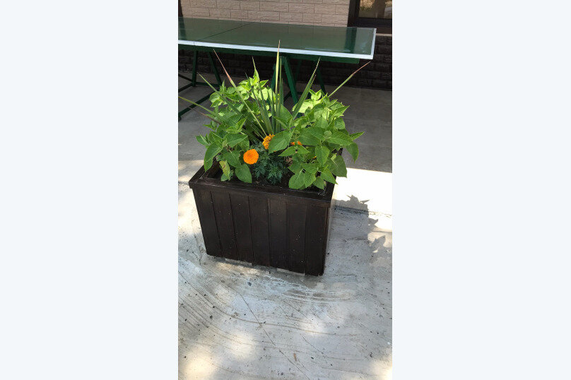 Фото Легенда