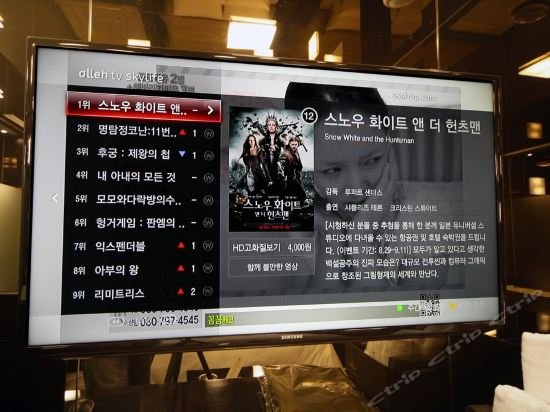 Фото Hotel Star The Masterpiece Suite