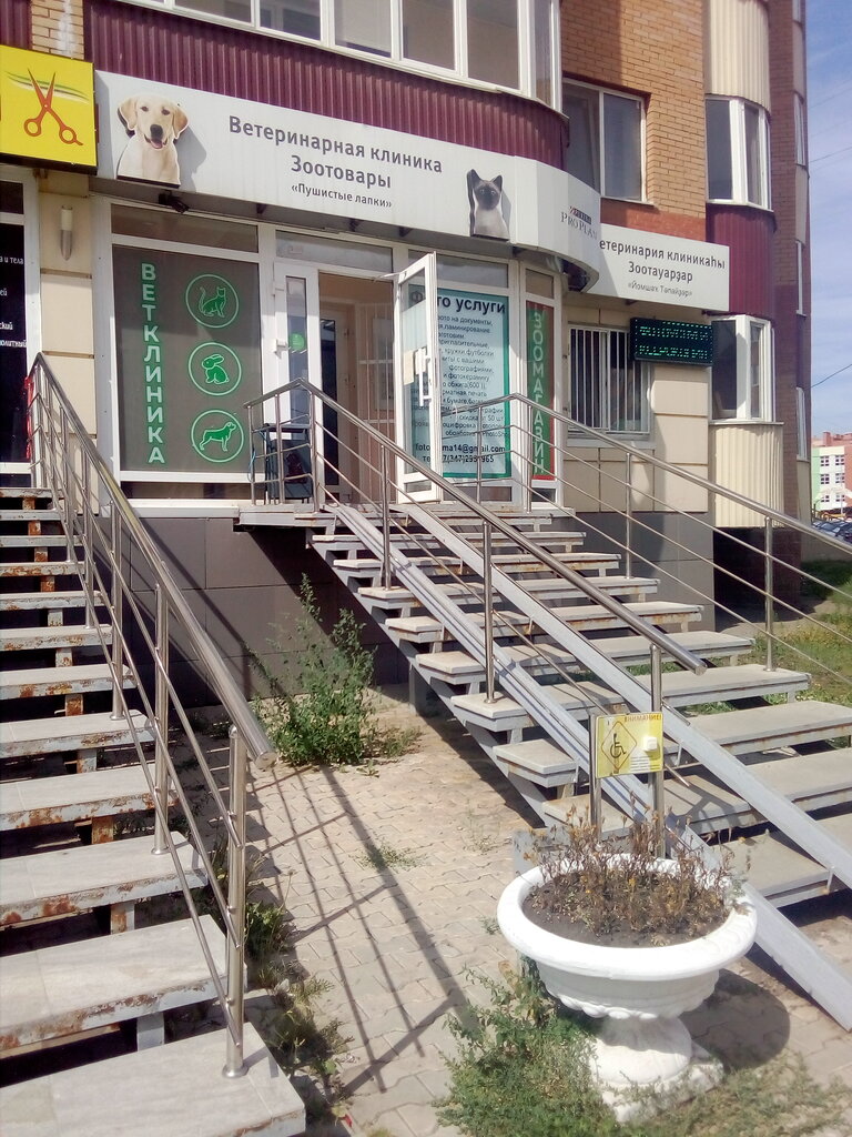 Baytarlıq klinikası Pushistye lapki, Ufa, foto