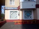 Zagorye (Lebedyanskaya Street, 38), veterinary clinic