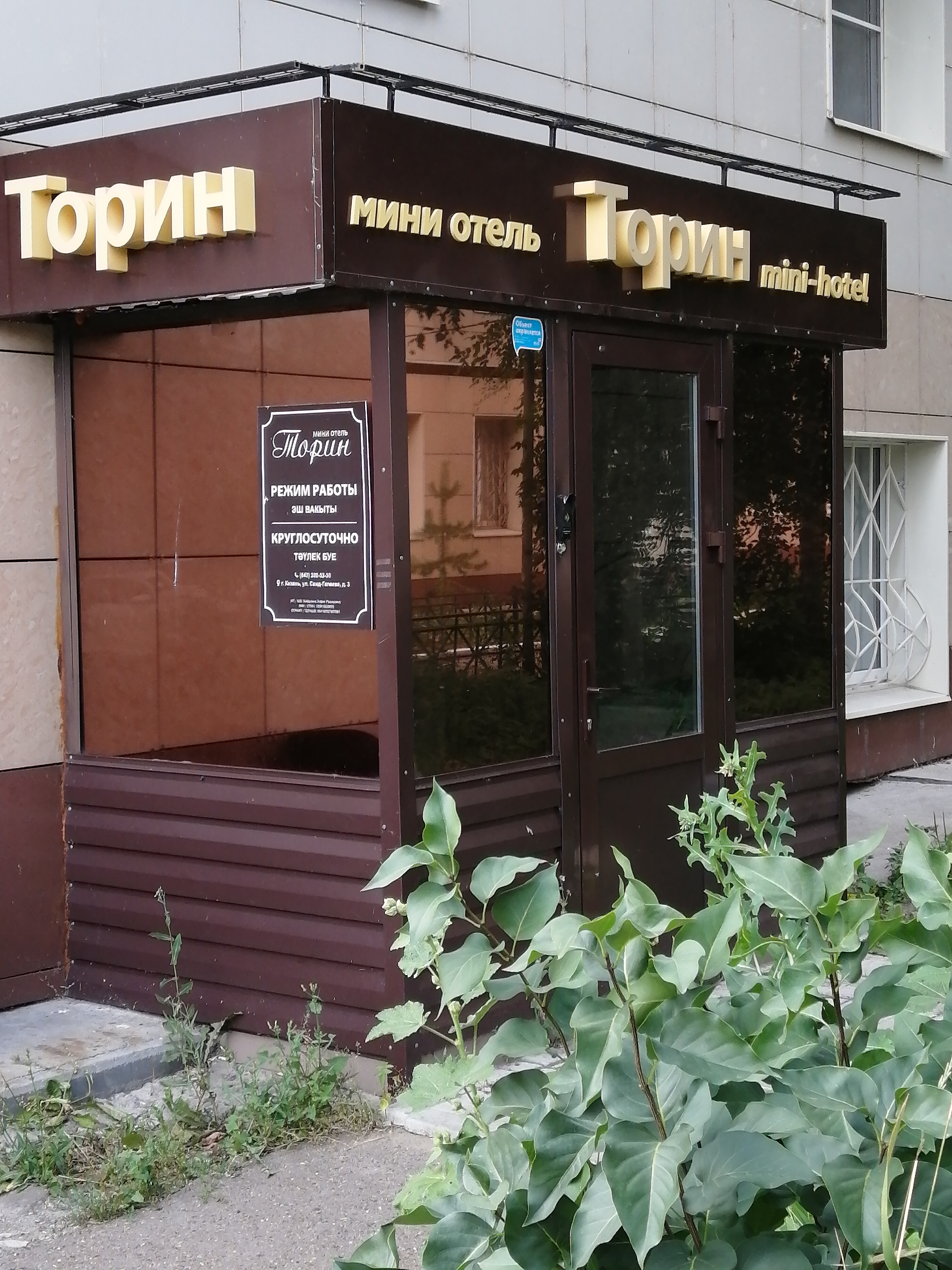 Фото Торин