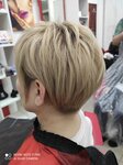 Eletto (Dmitrovskoye Highway, 46к1), hairdresser