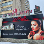 La Rose (Michurinskaya Street, 169), flower shop