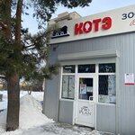 Zoomir Kote (rabochiy posyolok Lesnoy, ulitsa Pushkina, 6А), pet shop