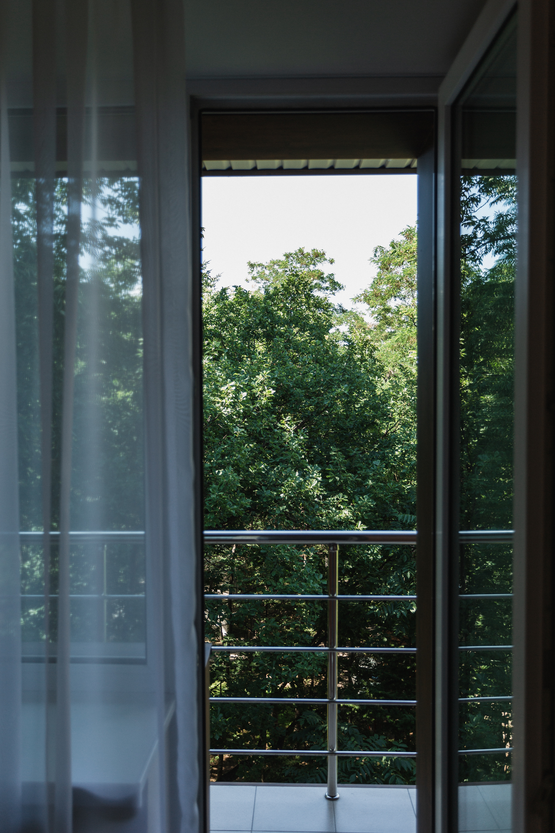 Фото Аврора 