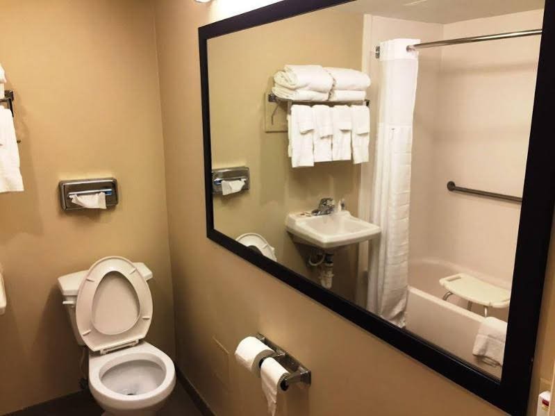 Фото Comfort Inn Atlanta Downtown South