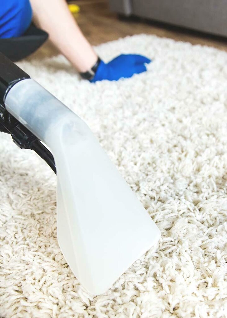 Carpet cleaning Clean Master, London, photo