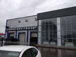 Check (Mokhammeda Ali Avenue, 14), car service, auto repair