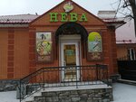 Magazin Neva (ulitsa Karla Marksa, 47), fishing gear and supplies