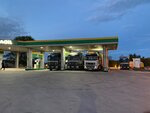 Aoil (рабочий посёлок Новоспасское, улица Строителей, 1), gas station