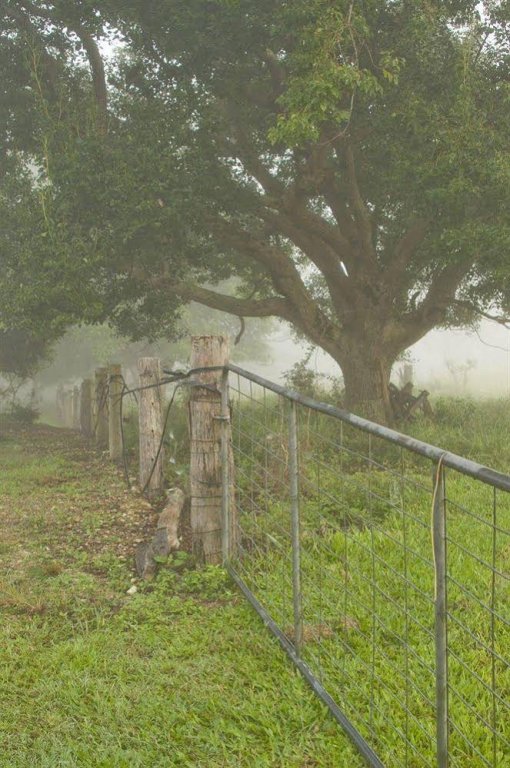 Фото Lagoon Pocket B&b