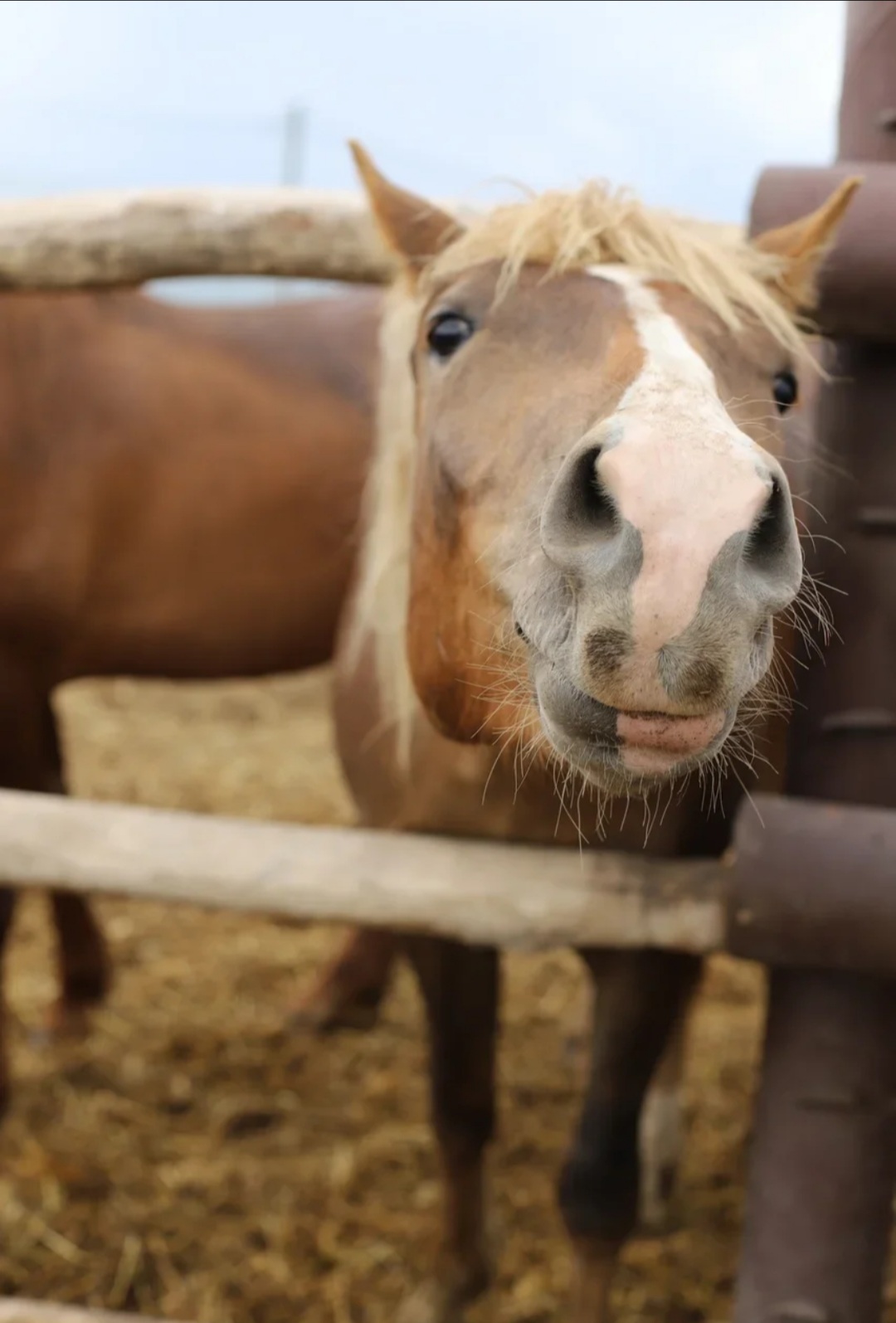 Фото Заповедное Прибрежье